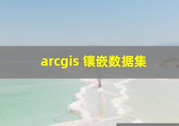 arcgis 镶嵌数据集